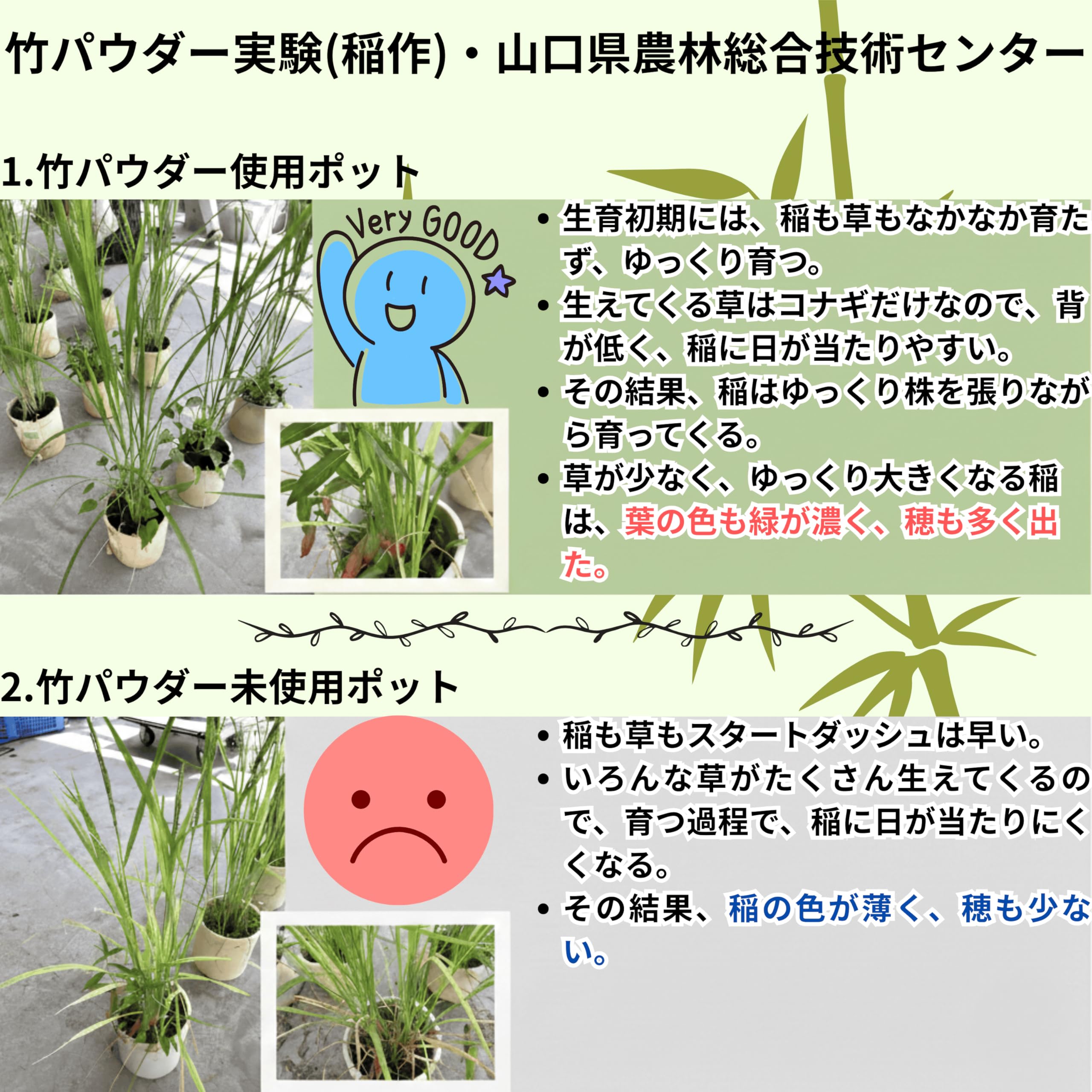 Amazon.co.jp: たけふぁむ 竹パウダー 3kg 山口県岩国産 土壌改良材